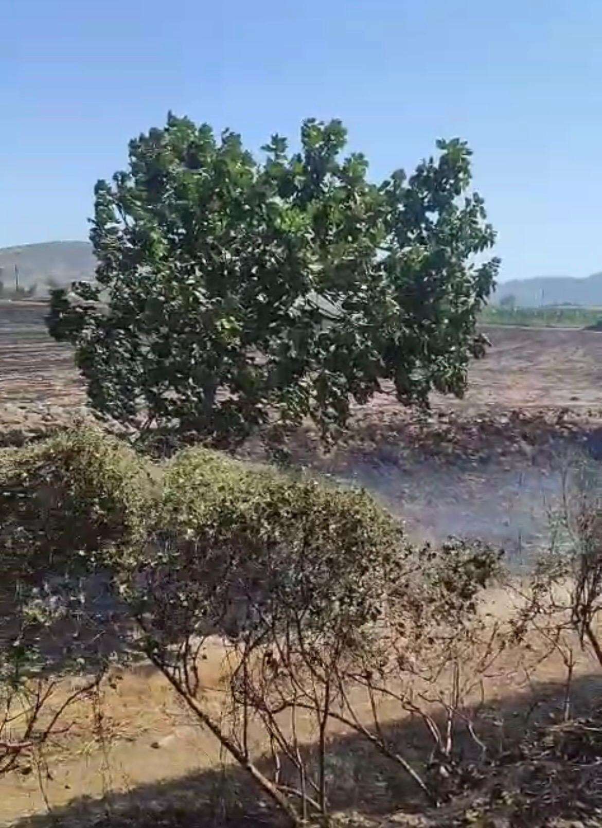 Milas’ta Arazi Yangını Alevlere Büyümeden Müdahale Edildi 2